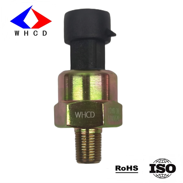 CDYD-101100120 (R1/8)